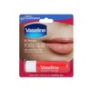 [Lungs_62] Lippi 4.8g Moisturizing (46431787) - Rosy Lips/FREE / [룽스_62]립피4.8g 보습 (46431787) - 로지립스／FREE
