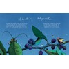 A Beetle Is Shy (Nature Books): 1 (Family Treasure Nature