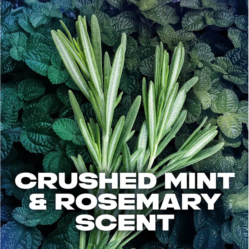 AXE Holiday Gift Bag for Men, Phoenix (28-Ounce, Pack of