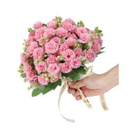 DuHouse Carnation Artificial Flowers,6 Bundles Small Bulk Fake Flower with Stems Silk Carnation Flowers for Spring Decoration Wedding Home Table Centerpieces Decorations(Pink)