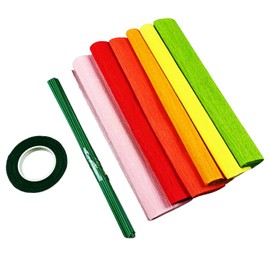 KYMY Crepe Paper with Iron Wires and Tape, 6 Rolls Crepe Paper Rolls Flower DIY Kits with 6 Colors, Crepe Paper Streamer for Birthday Wedding Holiday DIY Flower Wrapping Paper Crafts Making
