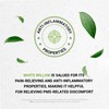 Secrets of the Tribe White Willow Alcohol-Free Liquid Extract, White