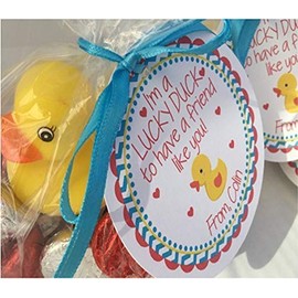 SweetPartyWishes Lucky Duck Valentines Tag, Valentines Day Tags, Preschool Valentines, 12 Valentine Favor Tags