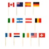VEPATIM 500 Flag Picks Flag Picks Decorative Picks Countries 'Nations'