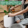 Mozing Ceramic Plant Pots Indoor - Garden Planter Pot for