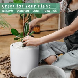 Mozing Ceramic Plant Pots Indoor - Garden Planter Pot for Planting - Modern Flower Pots with Drainage Hole for Home & Office Decor (8x8 inch, White)