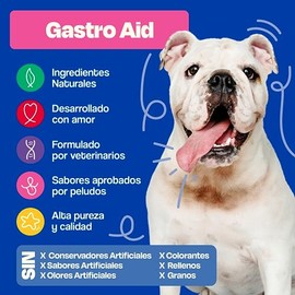 Dogelthy Gastro Aid. Pre + Probioticos con +3 Billones de UFC x Scoop. Suplemento para Perros. Complemento para Croquetas o Dieta Barf de 270g (Pescado)