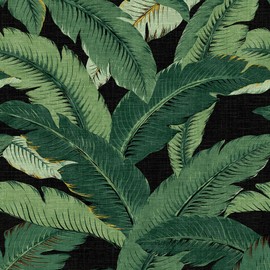 Tommy Bahama - Peel and Stick Designer Wallpaper, Premium Tropical Wallpaper for Bedroom, Powder Room, Kitchen, Self Adhesive, Vinyl, 30.75 Sq Ft Coverage (Swaying Palms Collection, Coal)