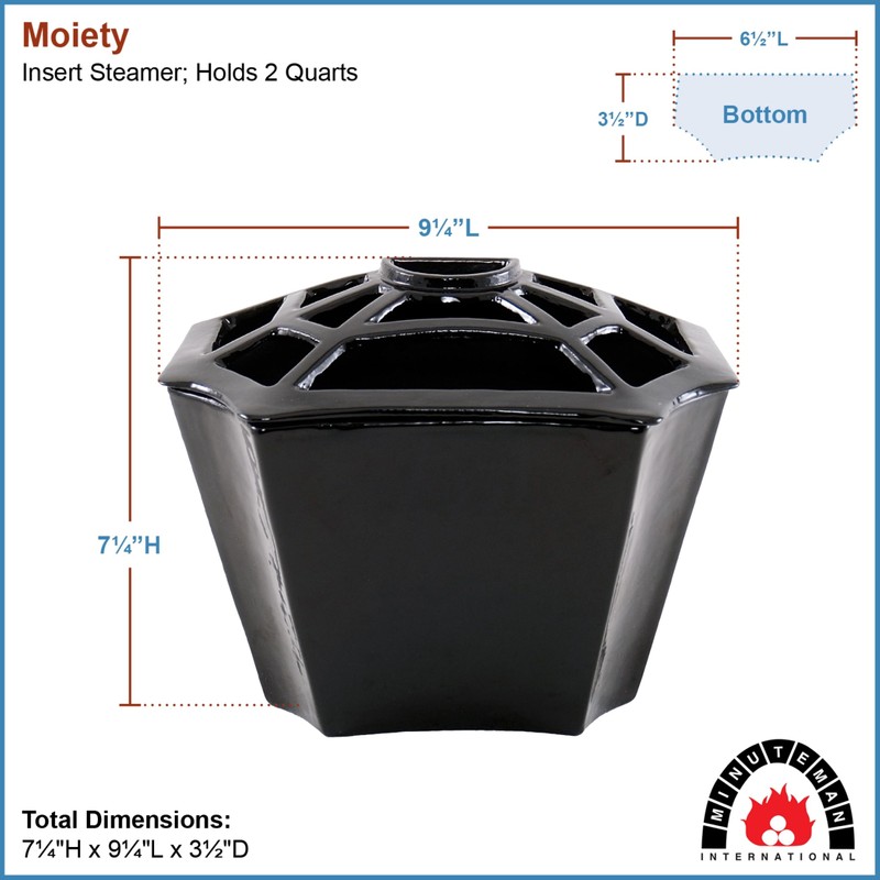 Minuteman International Moiety Insert Woodstove Steamer Humidifier