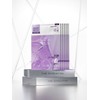 Missha [Missha] Time Revolution Retinol 1000 Shot 2 Step Solution Mask / [미샤] 타임레볼루션 레티놀1000샷 2스텝솔루션마스크