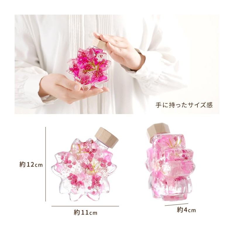 Flower Marika Cherry Blossom Herbarium Birthday Gift Sakura Katachi (Hizakura