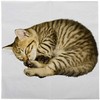 Esschert Design tp285 Pack of 20 Cat Napkins, White
