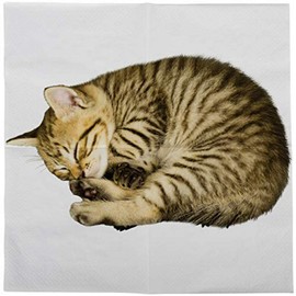Esschert Design tp285 Pack of 20 Cat Napkins, White