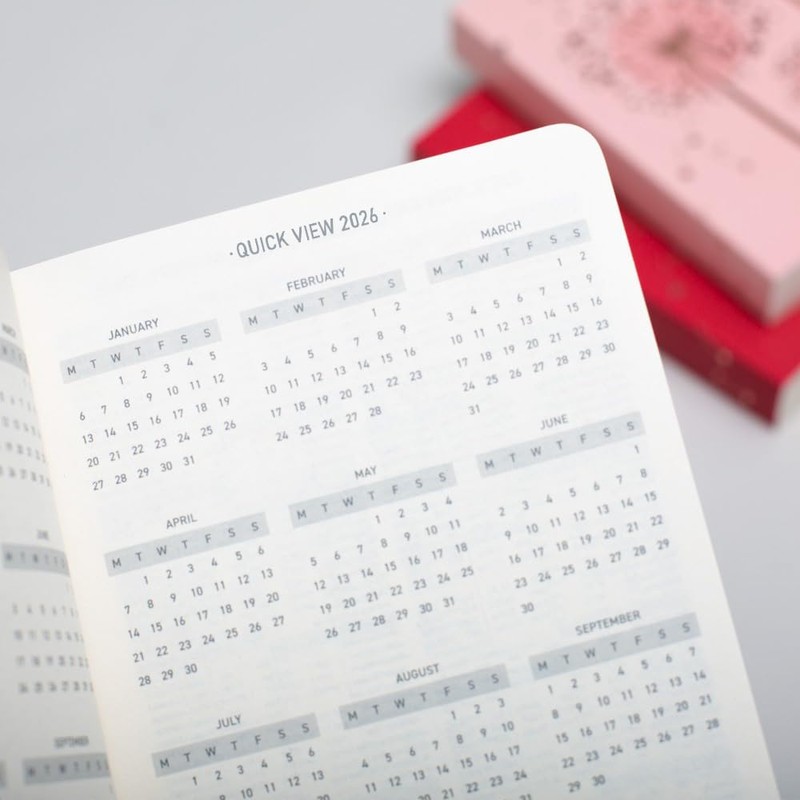 2025 Diary from Matilda Myres | A6 Size | Day