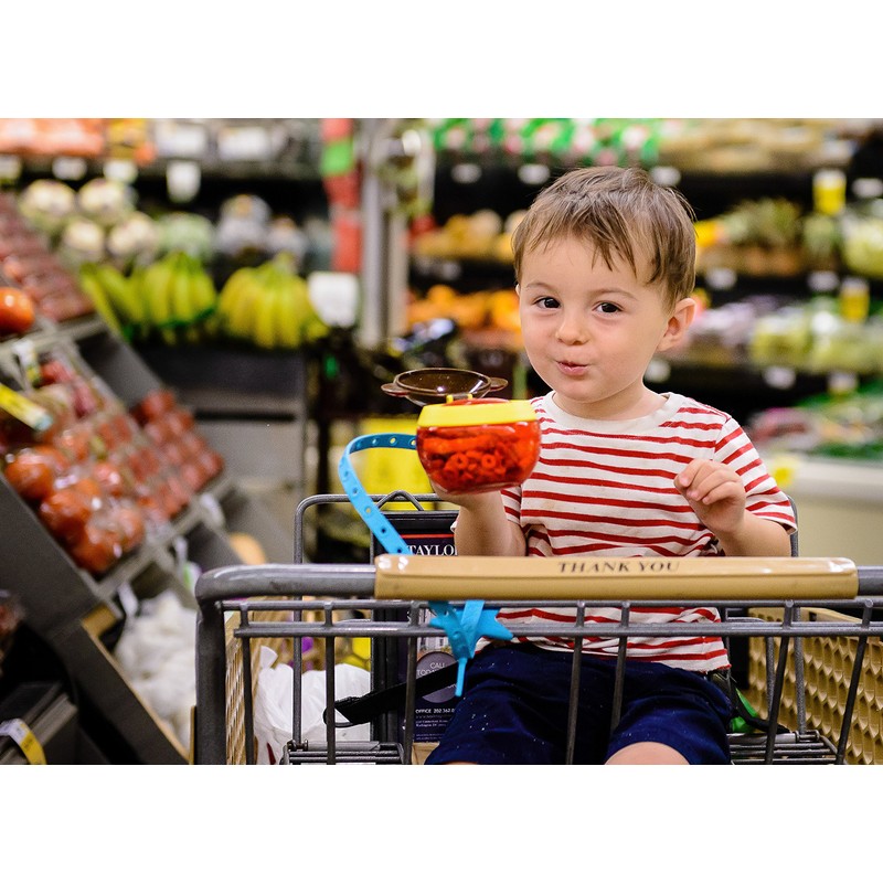 Lil Sidekick Toy Holder bule