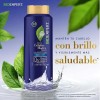 BIOEXPERT Shampoo Células Madres Regeneración 650 ml