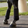Sarini 2PCS Hind Legs Horse Leg Guard Tendon Boot Horse