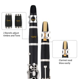 VANPHY Bb Clarinet For Beginners Students B Flat Clarinet 17 Keys Clarinet with Case Stand Strap 2 Barrels 8 Mouthpiece Cushion White Gloves Cleaning Kit (Black)