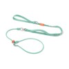 Slip Lead Dog Leash with Double Handles | Reflective Dog