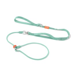 Slip Lead Dog Leash with Double Handles | Reflective Dog Training Leash with 360° Swivel Anti-Tangle | Heavy-Duty Leash and Collar for Large Medium and Small Dogs No-Pull Walking (Mint Green, 5.5FT)