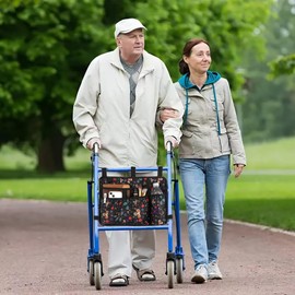 Dongawin Walker Bag Basket with Cup Holder Suit for Adult Folding Walkers Rollator Organizer Carry Storage Pouch Water-Resistant Armrest Accessories for Seniors, Elderly, Handicap (Clover)