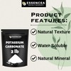 Potassium Carbonate 2lb by Essencea Pure Bulk Ingredients | 100%