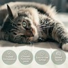 Pro-Kolin Advanced for Cats Pro-Kolin Advanced for Cats 15ml