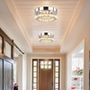 Cainjiazh Cainjiazh Mini Crystal Chandelier Crystal Flush Mount Ceiling Light