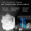 MuscleTech Cell-Tech Creactor - Creatine HCl Formula - Muscle Builder