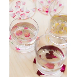 toumei Pressed Flower Carnation Coasters Set of 4 in a Wooden Box