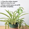 KGCCIZI Self Watering Planter Insert. Plant Watering Devices. 3-Pack Cactus