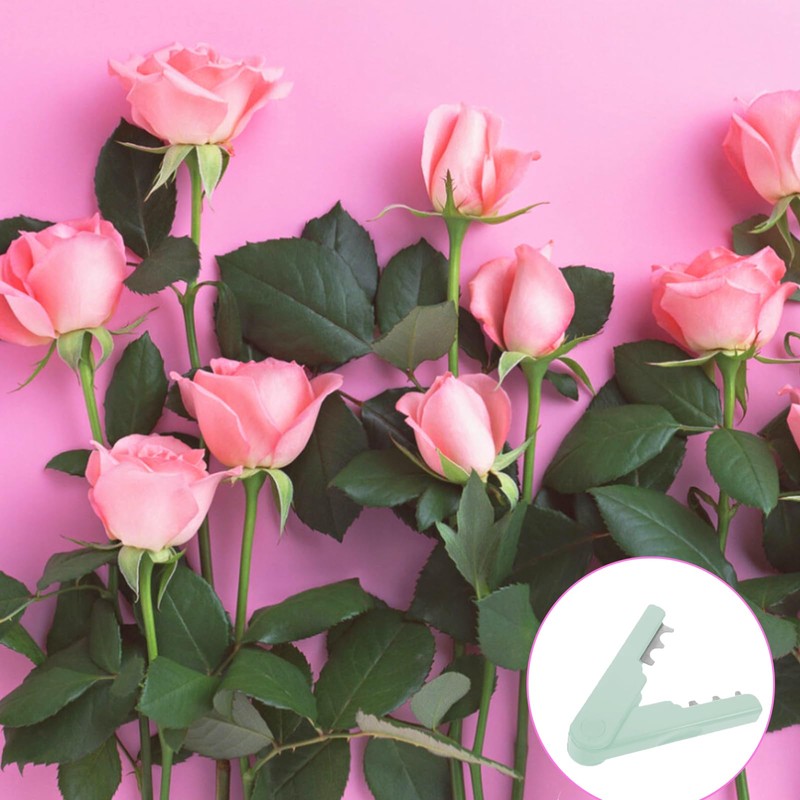 Molyorch 2 Stücke Rosendornzange, Trimmzange, Blumenschere, für Rosenentlaubungswerkzeuge, Rosendornzangen, Manuelle