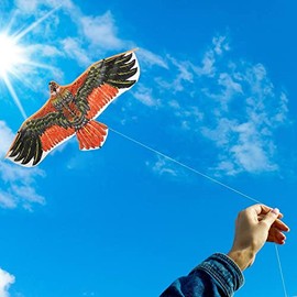 Eagle Kites for Adults and A Perfect Kites for Kids Ages 4-8 Easy to Fly - Outside Beach Toys for Kids 1.6m (62") Wingspan - Multicolor Nylon Kite for Beach Trip and Outdoor Activities
