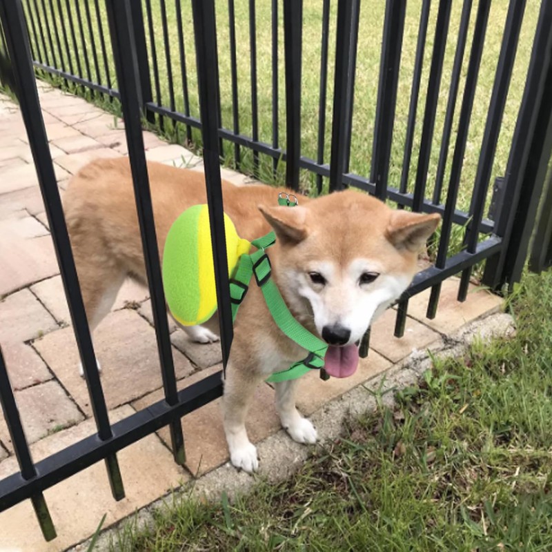Dog Harness Safety Collar Prevent Fall Puppy Light and Comfortable