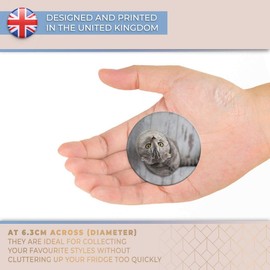 Destination Vinyl ltd Magnet for Refrigerator, Fridge - Beautiful Grey Tabby Cat Kitten for Office, Cabinet and Whiteboard, Magnetic Stickers, 16890