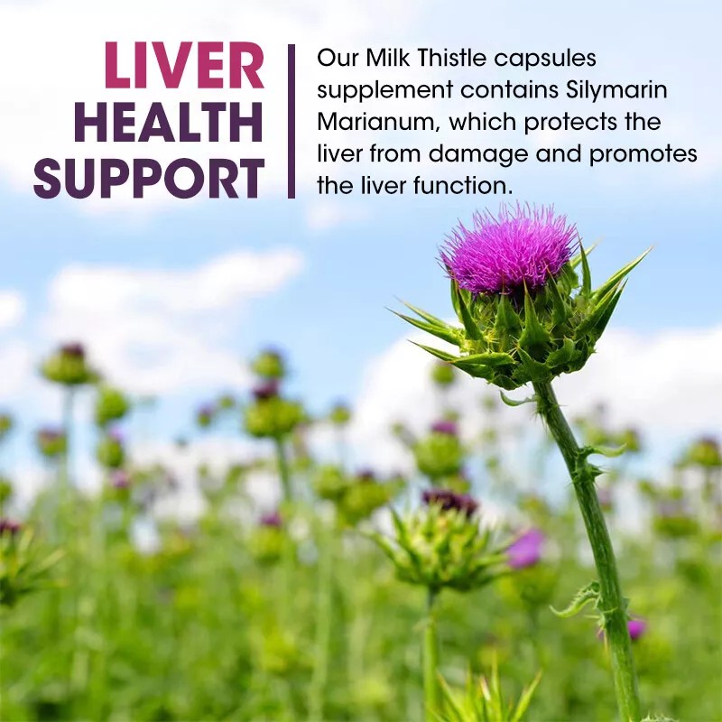 1200MG Milk Thistle (Silymarin) 120 Capsules Dandelion Root Extract Liver