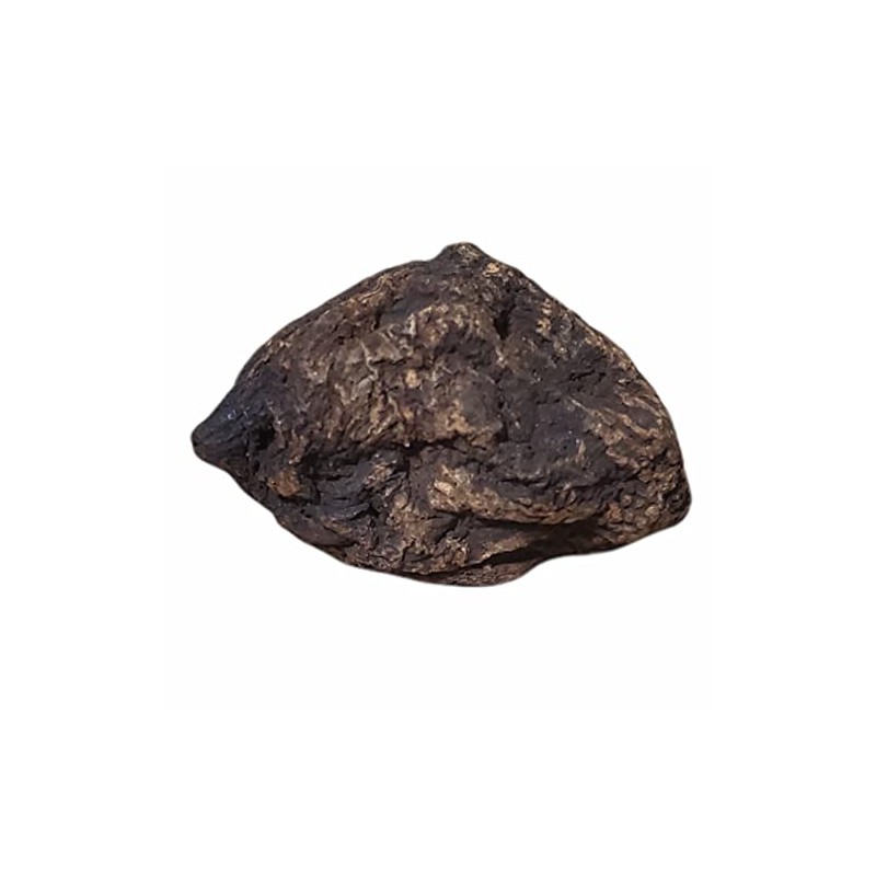 HIGH John The Conqueror Root (3PCS)