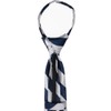 tiemart Boys' Zipper Ties (14 inch, Navy Blue and Silver