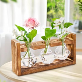 Wooden Base Glass Vase - Plant Holder & Propagation Station for Hydroponic Plants, Desktop Terrarium with Wooden Stand, Stylish Home & Office Décor, Great Gift for Plant Enthusiasts (YMFLX-3B)
