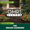 Ortho GroundClear Weed and Grass Killer with Comfort Wand, Kills