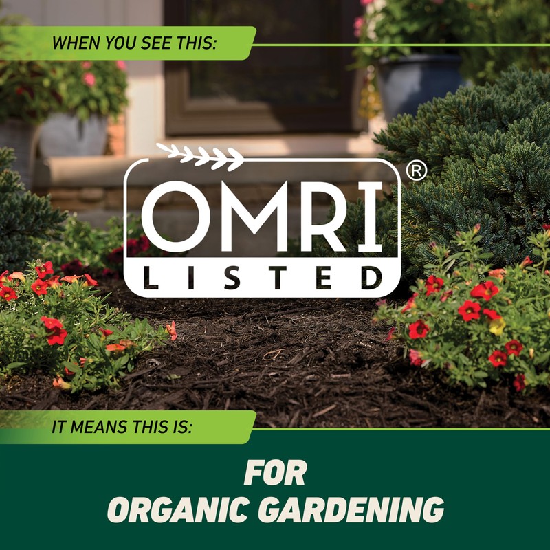 Ortho GroundClear Weed and Grass Killer with Comfort Wand, Kills