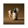 Body Shop Ginger Scalp Care Shampoo 400ML (42551) / 진저