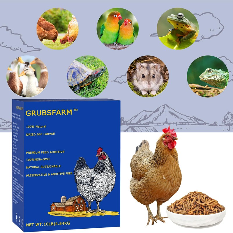GRUBSFARM Premium Chicken Treats 10LB - Non-GMO & 85X More