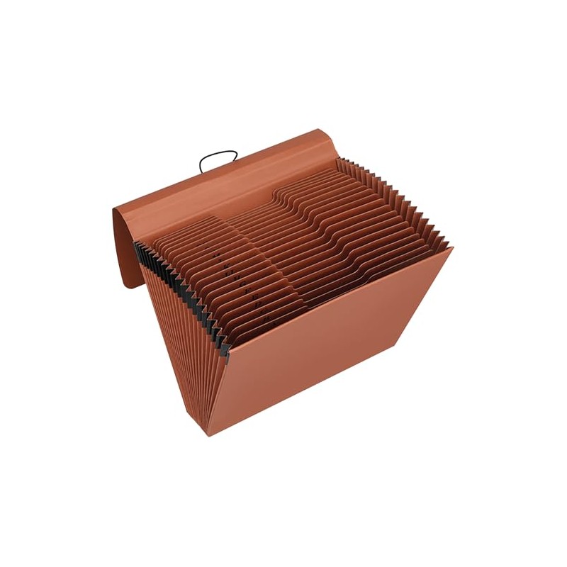 3 Packs Heavy Duty Expanding File Folder Organizer,21 Pockets Accordion