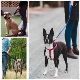 Correa corta para perro, gancho de metal resistente, PVC impermeable y lengüeta ancha para razas, perros.