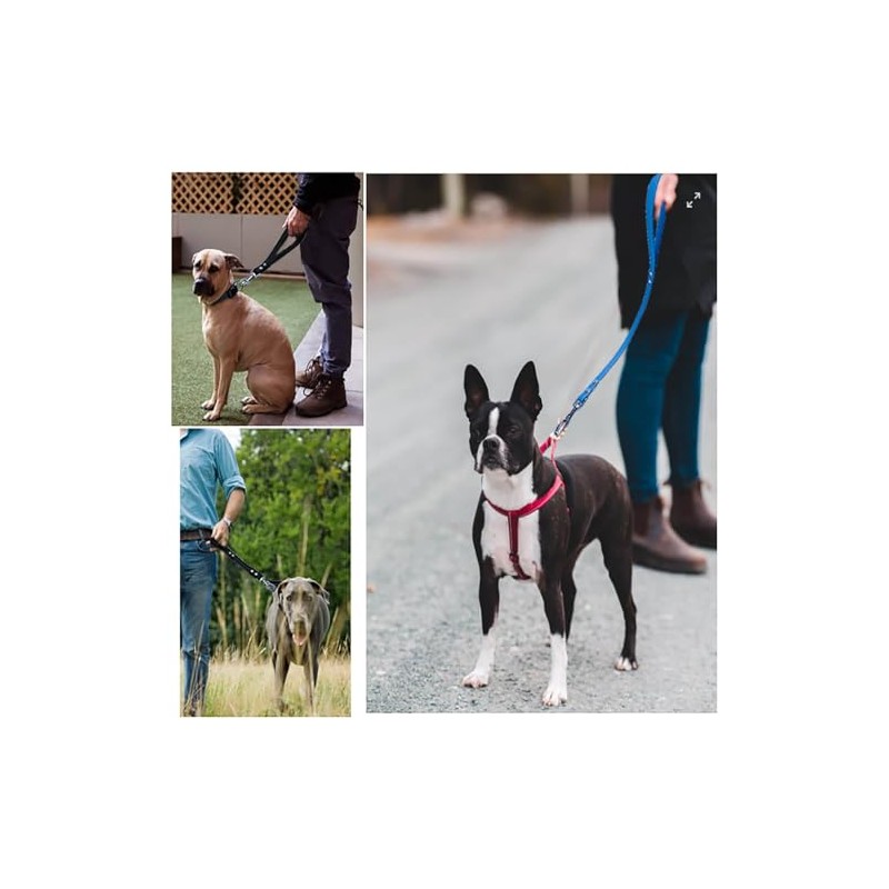 Correa corta para perro, gancho de metal resistente, PVC impermeable