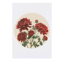 'Chrysanthemum Flowers' Temporary Tattoo - Water Resistant, Skin-Safe, Non-Toxic Transfer (TO00084507)