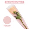 BEISHIDA 100 PCS Single Rose Sleeve Bouquet Bags Plastic Single