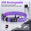 LED Dog Collar, Light Up Dog Collar, USB Rechargeable -