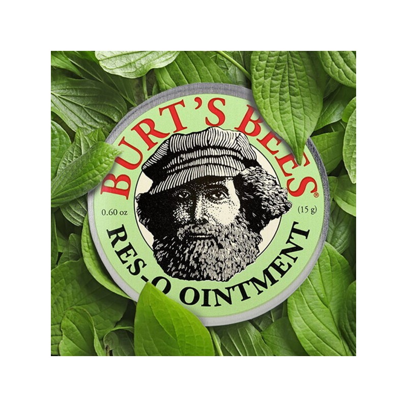 Burt's Bees 버츠비 레스큐 오인트먼트 15g X 2 Burt's Bees